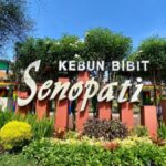 Kebun Bibit Senopati