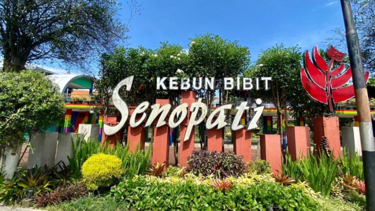 Menjelajahi Keindahan Kebun Bibit Senopati yang Instagramable di Magelang